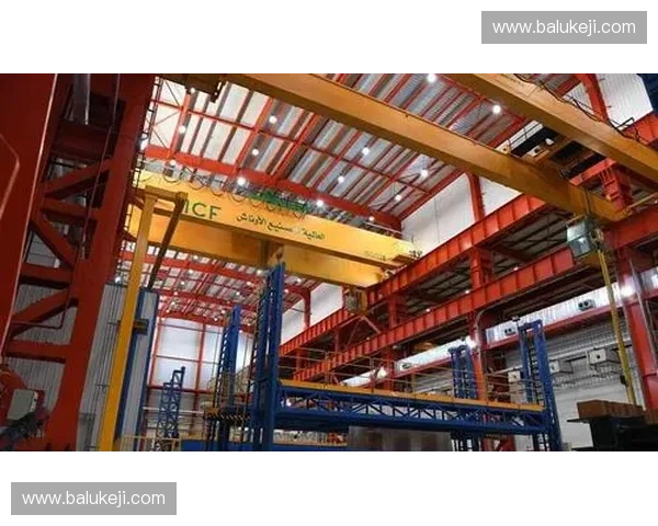 球员梯队培养：构建青训体系与职业发展的协同路径